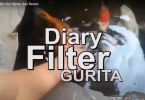 Filter Koi Gurita